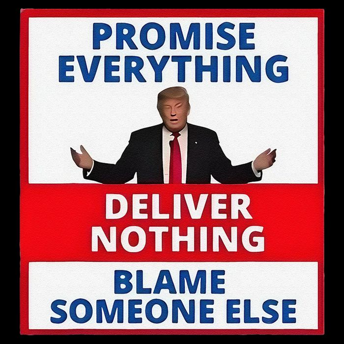 Trump Promise Everything Deliver Nothing Blame Someone Else Toddler Sweatshirt