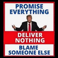 Trump Promise Everything Deliver Nothing Blame Someone Else Crop Top