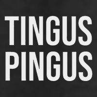 Tingus Pingus Fun Design 7 Panel Mesh Trucker Snapback Hat