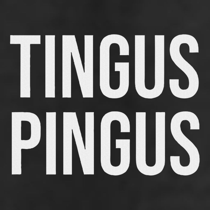 Tingus Pingus Fun Design 7 Panel Mesh Trucker Snapback Hat