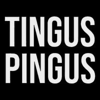 Tingus Pingus Fun Design Magnet