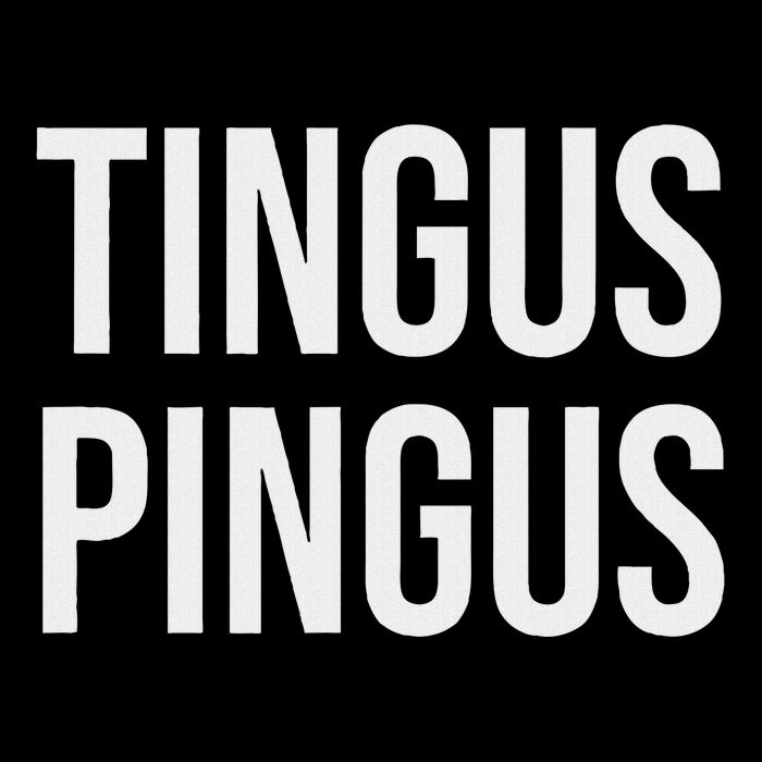 Tingus Pingus Fun Design Magnet