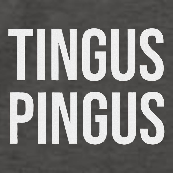 Tingus Pingus Fun Design Vector Backpack