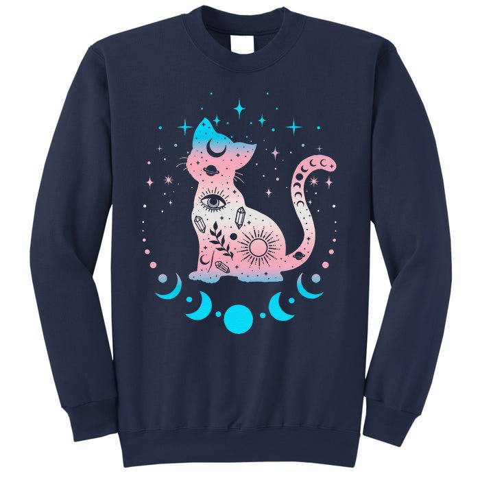 Transg Pride Flag Colors Astronomy Cat Sweatshirt