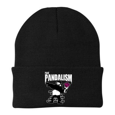 The Pandalism Funny Panda Parody Beanie