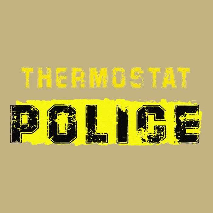 Thermostat Police Funny Fathers Day For Button
