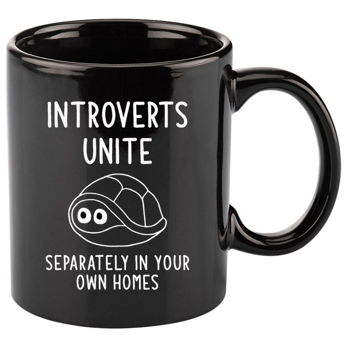 Turtle Pun Introverts Unite Funny Jokes Sarcastic 11oz C Handle Ceramic Mug
