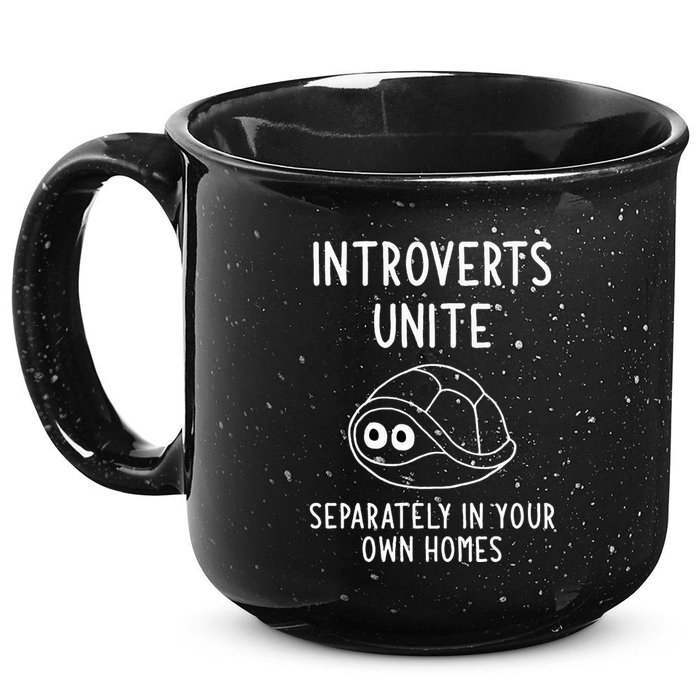 Turtle Pun Introverts Unite Funny Jokes Sarcastic 15oz Campfire Ceramic Mug