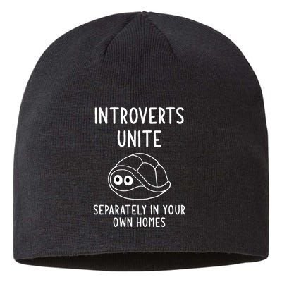Turtle Pun Introverts Unite Funny Jokes Sarcastic Sustainable Beanie