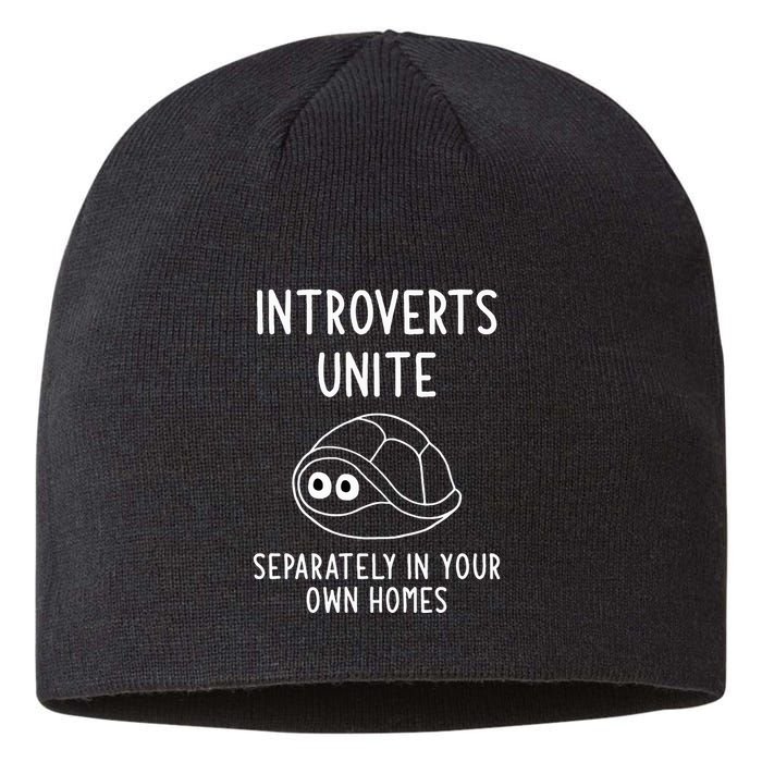 Turtle Pun Introverts Unite Funny Jokes Sarcastic Sustainable Beanie