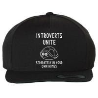 Turtle Pun Introverts Unite Funny Jokes Sarcastic Wool Snapback Cap