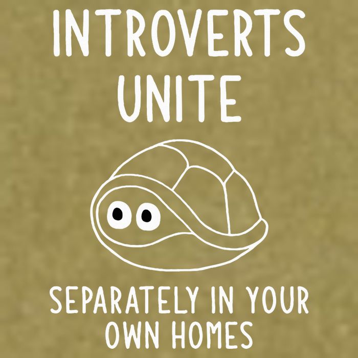 Turtle Pun Introverts Unite Funny Jokes Sarcastic Garment-Dyed Women's Muscle Tee