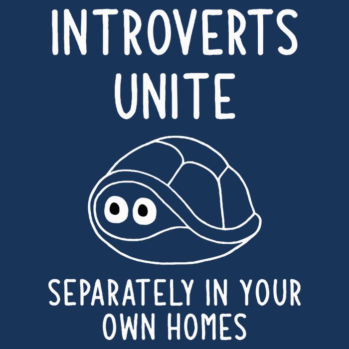 Turtle Pun Introverts Unite Funny Jokes Sarcastic Infant Baby Jersey Bodysuit