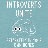 Turtle Pun Introverts Unite Funny Jokes Sarcastic Sueded Cloud Jersey T-Shirt