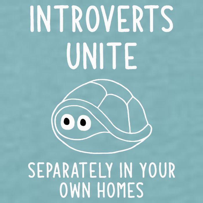 Turtle Pun Introverts Unite Funny Jokes Sarcastic Sueded Cloud Jersey T-Shirt