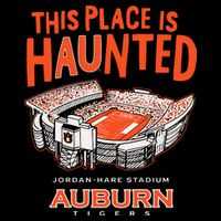 This Place Is Haunted Jordan Hare Stadium Football Team Lover 16 in Basic Backpack