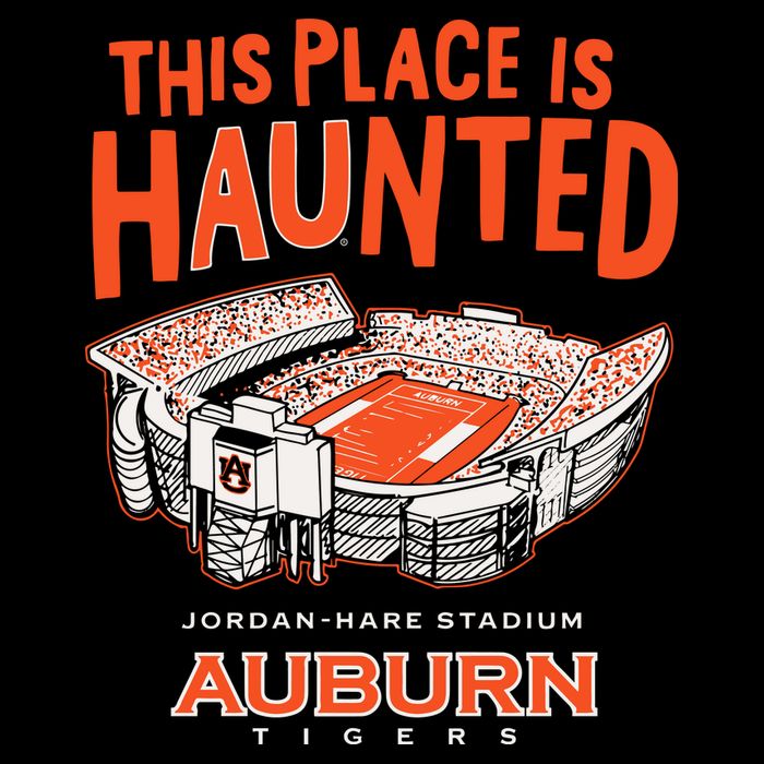 This Place Is Haunted Jordan Hare Stadium Football Team Lover 16 in Basic Backpack