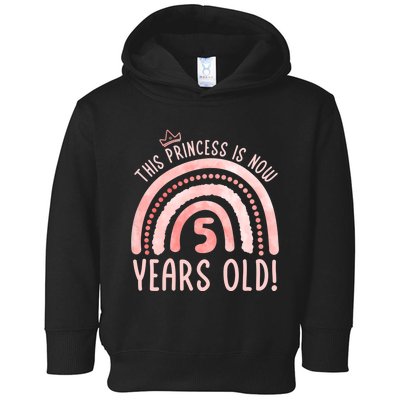  This Princess is 5 Years Old! 5th Birthday Fifth Birthday Toddler Hoodie