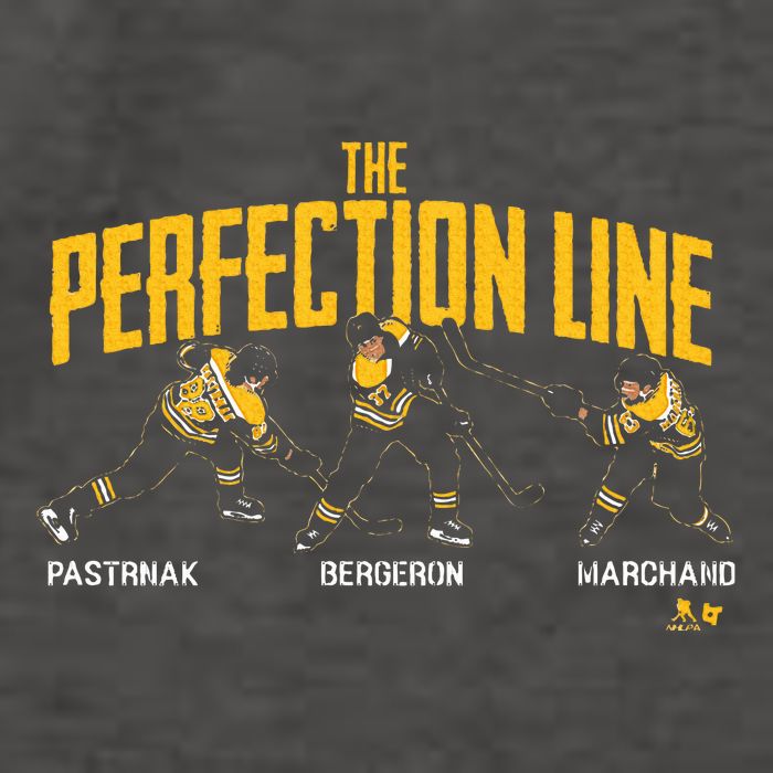 The Perfection Line Boston Hockey Vector Backpack