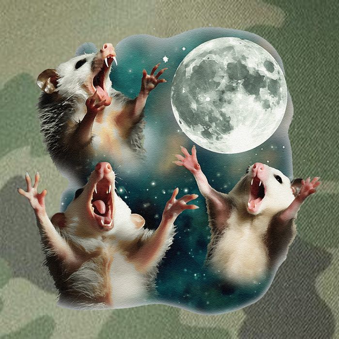 Three Possum Moon 3 Opossum Funny Weird Cursed Meme Legacy Tie Dye Trucker Hat