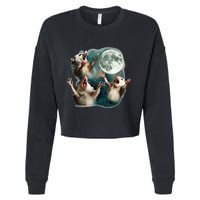 Three Possum Moon 3 Opossum Funny Weird Cursed Meme Cropped Pullover Crew
