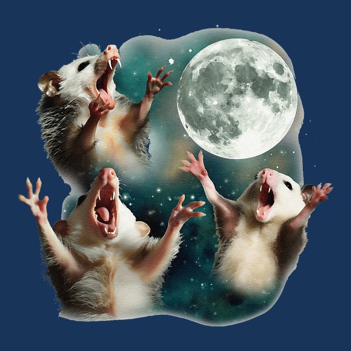 Three Possum Moon 3 Opossum Funny Weird Cursed Meme Infant Baby Jersey Bodysuit