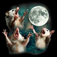 Three Possum Moon | 3 Opossum Funny Weird Cursed Meme 7-Panel Snapback Hat