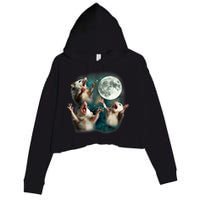Three Possum Moon | 3 Opossum Funny Weird Cursed Meme Crop Fleece Hoodie