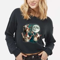 Three Possum Moon | 3 Opossum Funny Weird Cursed Meme Cropped Pullover Crew