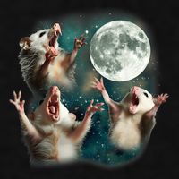 Three Possum Moon 3 Opossum Funny Weird Cursed Meme Ladies PosiCharge Tri-Blend Wicking Tank