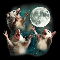 Three Possum Moon 3 Opossum Funny Weird Cursed Meme 16 in Basic Backpack