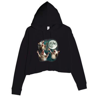 Three Possum Moon 3 Opossum Funny Weird Cursed Meme Crop Fleece Hoodie