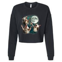 Three Possum Moon 3 Opossum Funny Weird Cursed Meme Cropped Pullover Crew