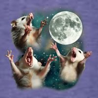Three Possum Moon 3 Opossum Funny Weird Cursed Meme Pom Pom 12in Knit Beanie