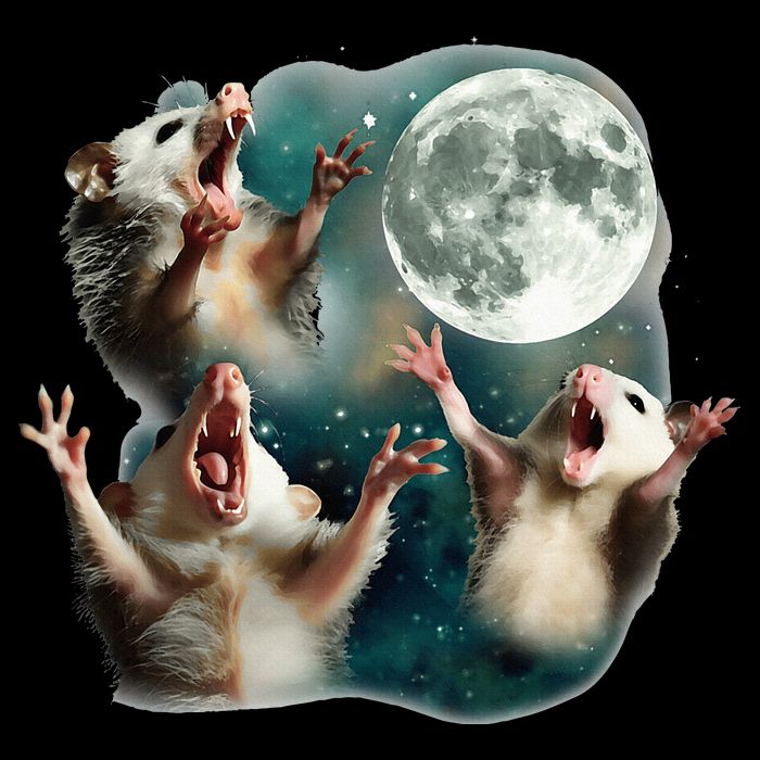 Three Possum Moon 3 Opossum Bag