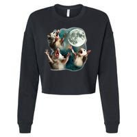 Three Possum Moon 3 Opossum Cropped Pullover Crew