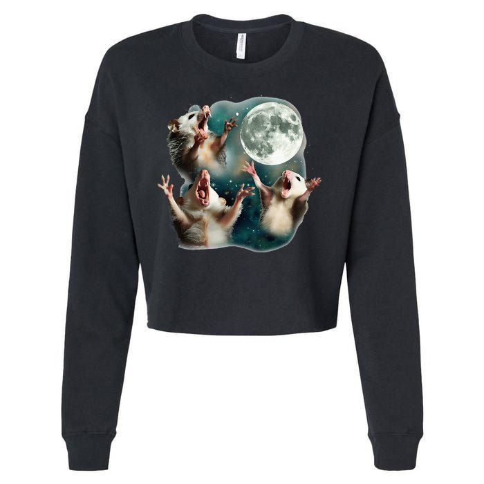 Three Possum Moon 3 Opossum Cropped Pullover Crew