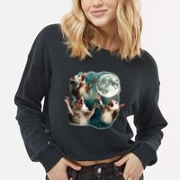 Three Possum Moon 3 Opossum Cropped Pullover Crew