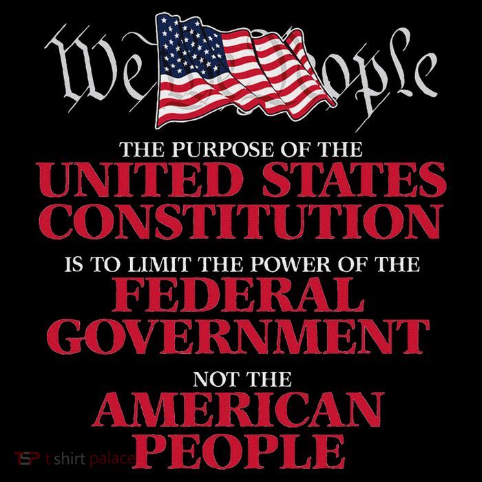 The Purpose Of The United States Constitution Flexfit Unipanel Trucker Cap