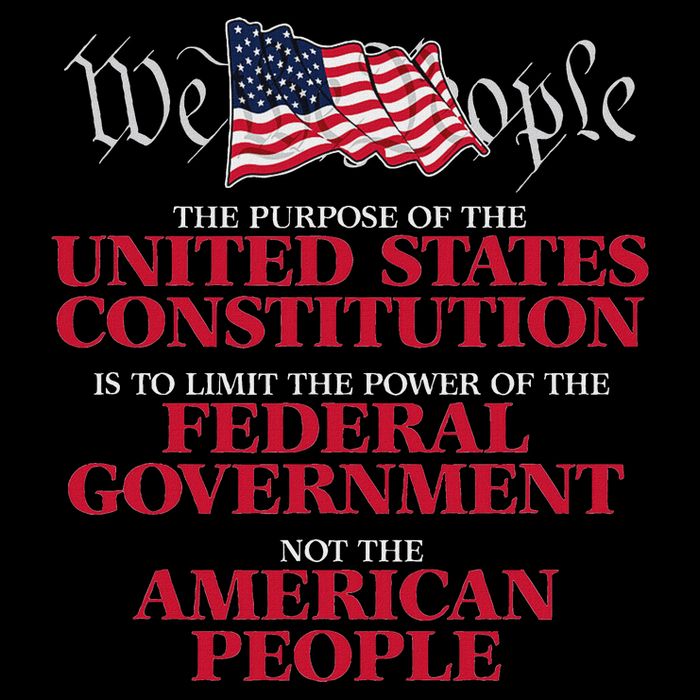 The Purpose Of The United States Constitution Backpack