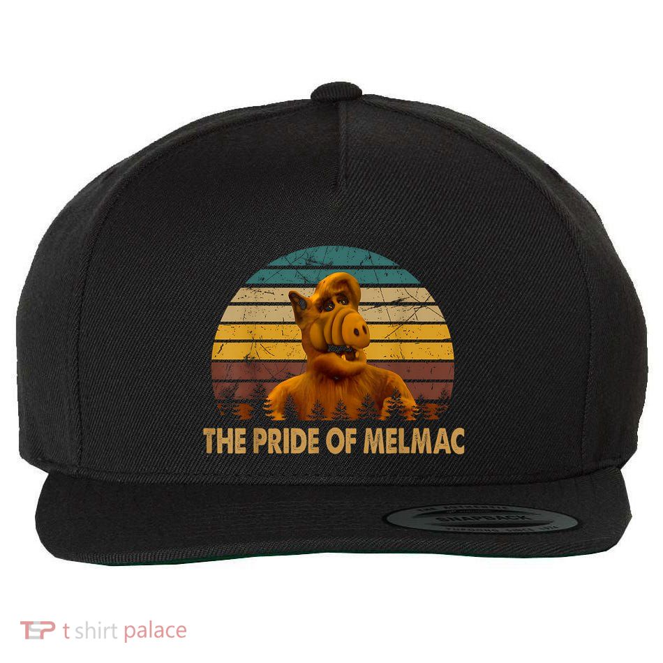 The Pride Of Melmac Alf Alien Vintage Wool Snapback Cap