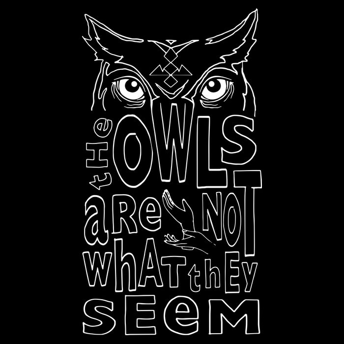 Twin Peaks Owls Are Not What They Seem Graphic 16 in Basic Backpack