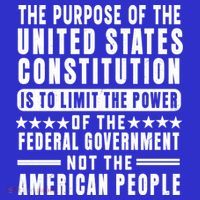The Purpose Of The United States Constitution Is To Limit Gift Short Acrylic Beanie