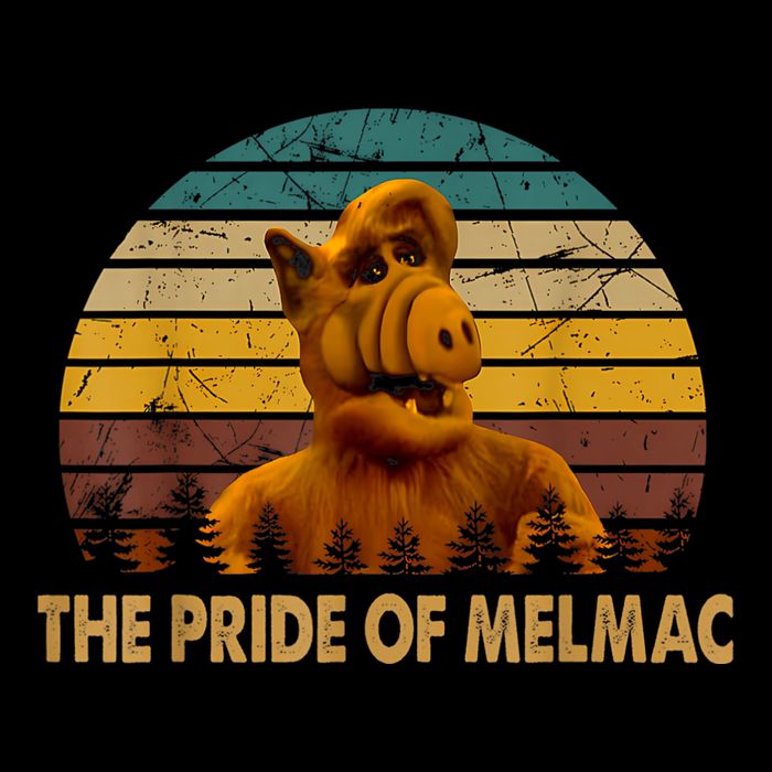 The Pride Of Melmac Alf Alien Vintage Button