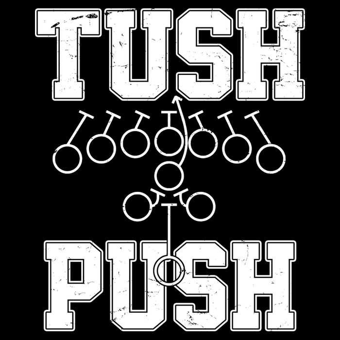 Tush Push Philadelphia Football 16 in Basic Backpack