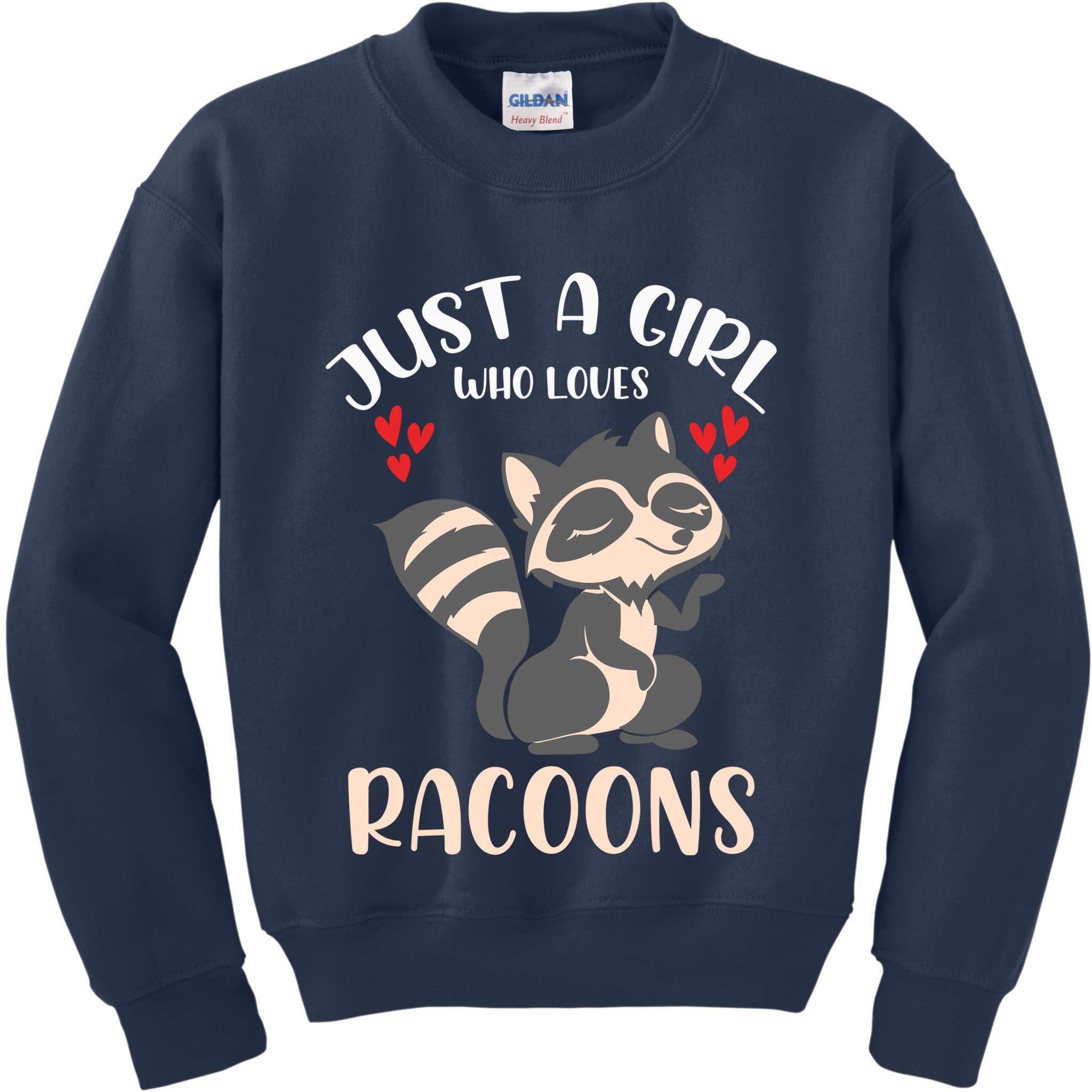 Trash Panda Raccoons Animal Just A Girl Who Loves Racoon Kids Sweatshirt