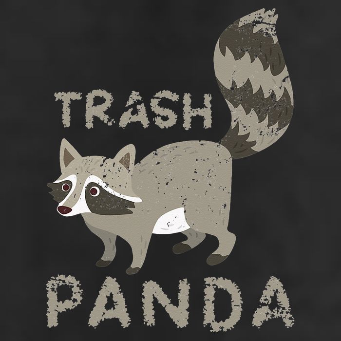 Trash Panda Racoon 7 Panel Mesh Trucker Snapback Hat