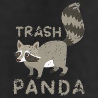 Trash Panda Racoon Adult Drive Performance Visor