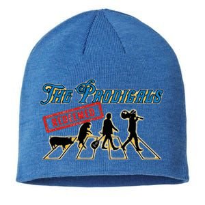 The Prodigals Redeemed Oldies Band From Colorado Sustainable Beanie