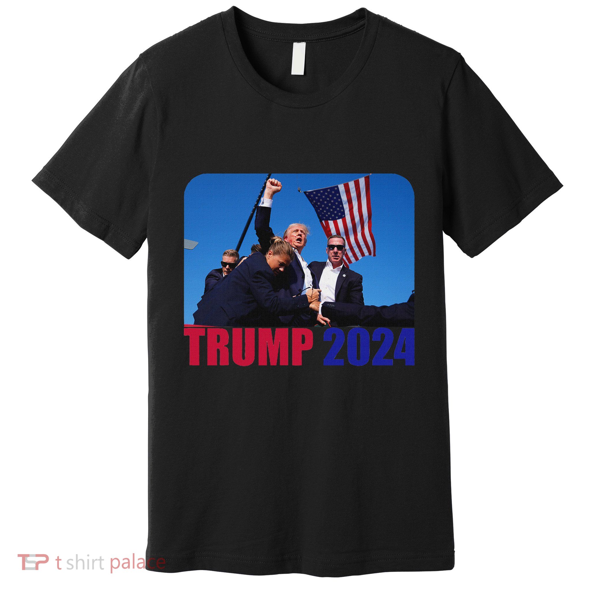 Trump Pennsylvania Rally Shooting Bold Design Premium T-Shirt